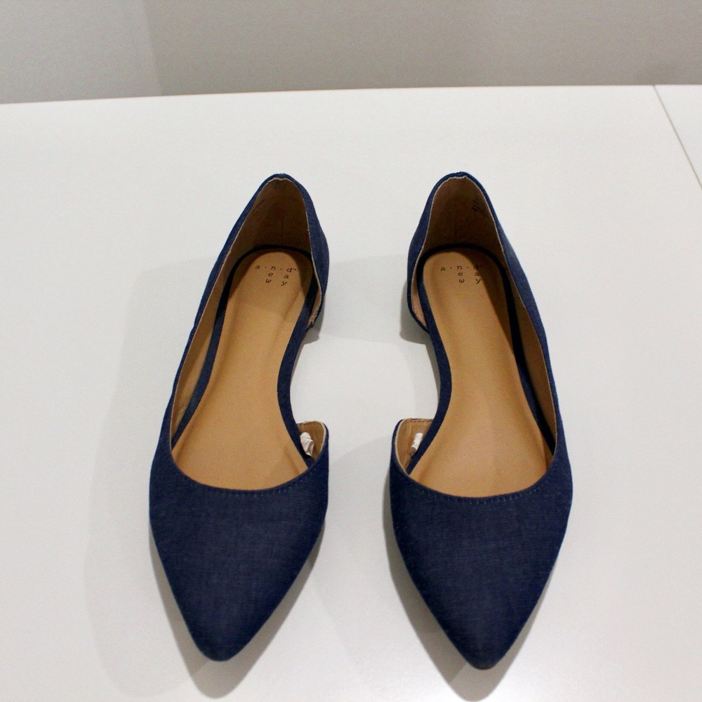 Navy Flats A New Day Pointed Toe Shoes